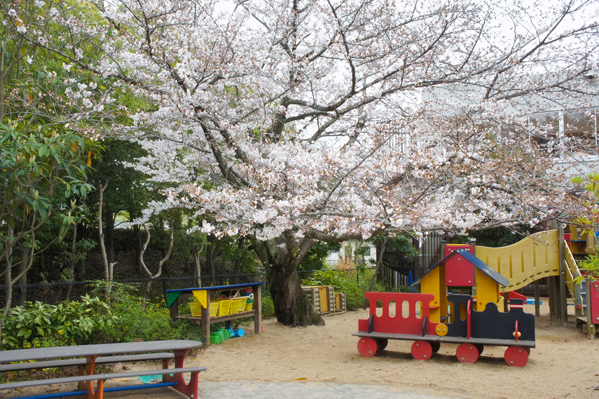 泉北園百寿荘の特長1